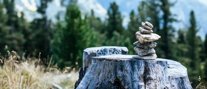 Zen-like stack of stones balanced atop a weathered tree stump with a tranquil forest backdrop, capturing a sense of peace and mindfulness in nature.